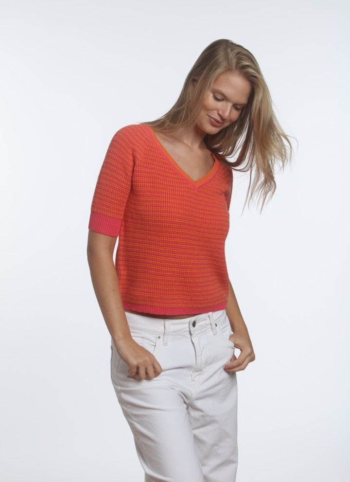 NS26-035 Watermelon Papaya